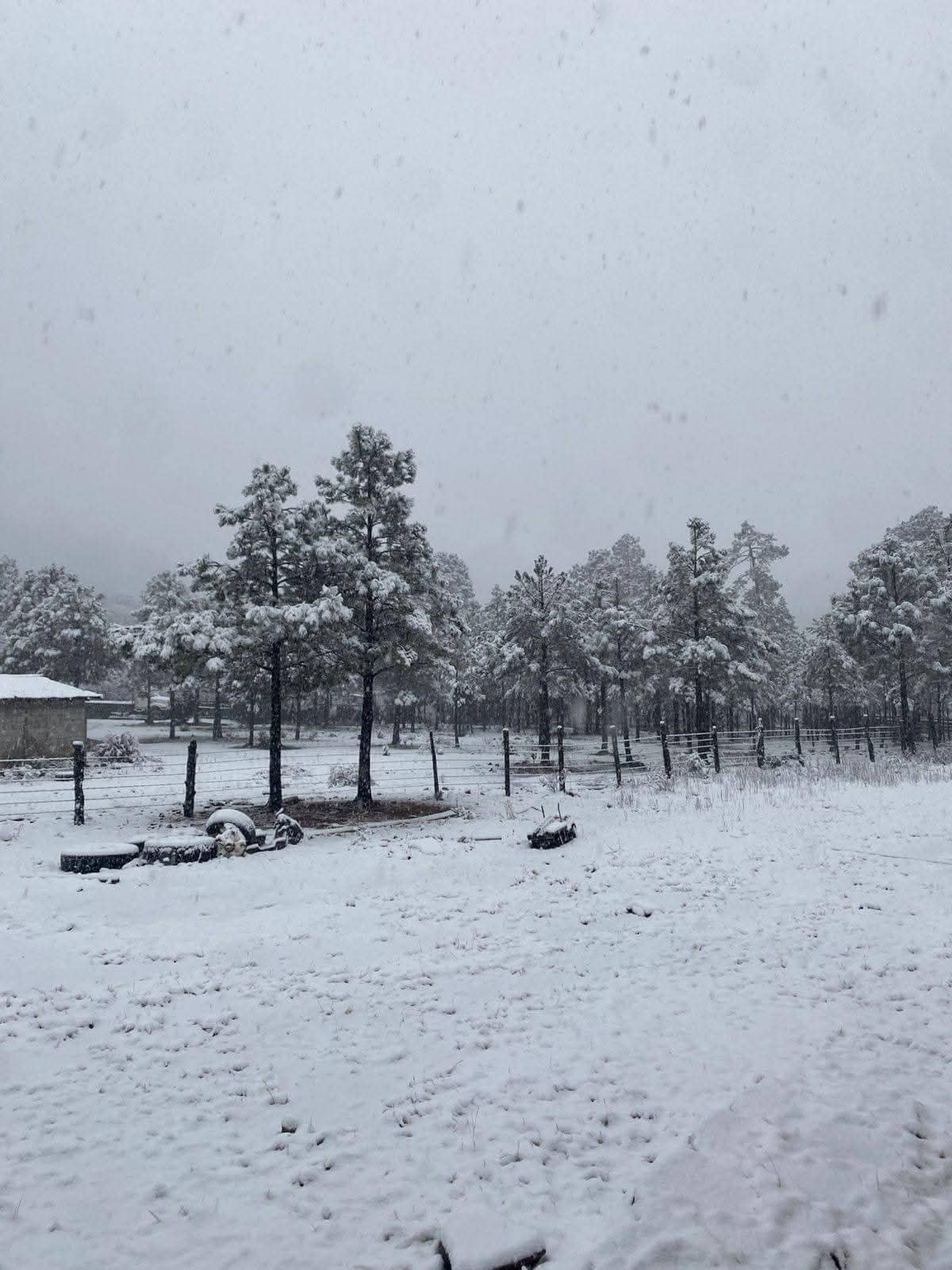 Tormenta invernal provoca nevadas y temperaturas extremas en Chihuahua y Durango